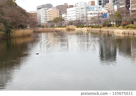 2024, Fukuoka, Fukuoka City, Landscape, Chuo Ward, Maizuru Park, Part 46 2024, Fukuoka, Fukuoka City, Landscape, Chuo Ward, Maizuru Park, Part 46 135675011