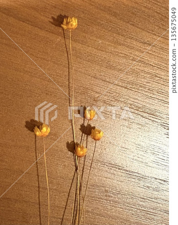 Small yellow flowers and shadows of life on a wooden table 135675049