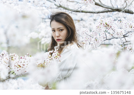 被櫻花樹包圍的女人 135675148