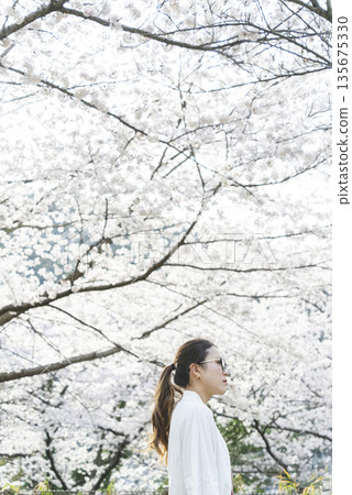 沿著櫻花樹散步的年輕女子 沿著櫻花樹散步的年輕女子 135675330