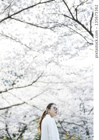 一個女人看著櫻花 135675362