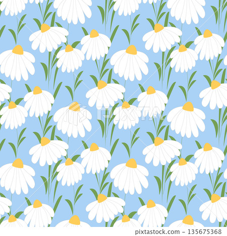Large daisies on blue background seamless pattern Large daisies on blue background seamless pattern 135675368
