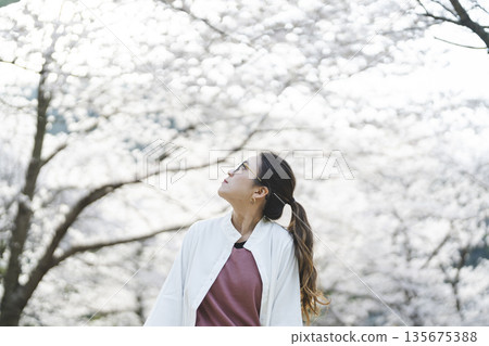 A woman looking at the cherry blossoms 135675388