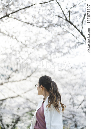 A woman looking at the cherry blossoms A woman looking at the cherry blossoms 135675397