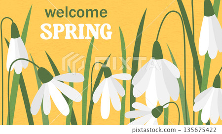 Welcome spring banner Vector graphic Welcome spring banner Vector graphic 135675422