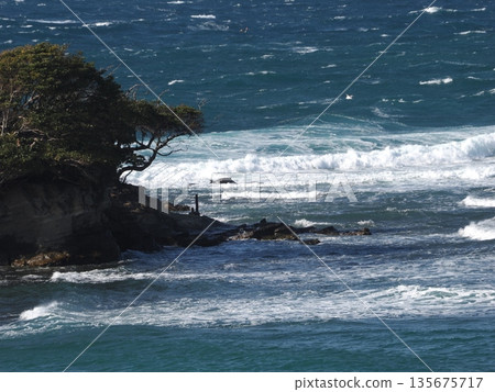 波濤洶湧的湘南海 波濤洶湧的湘南海 135675717