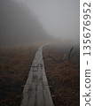 wooden path covered in fog 135676952