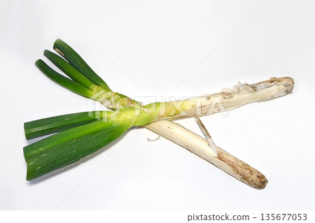 蔥（上州蔥） 135677053