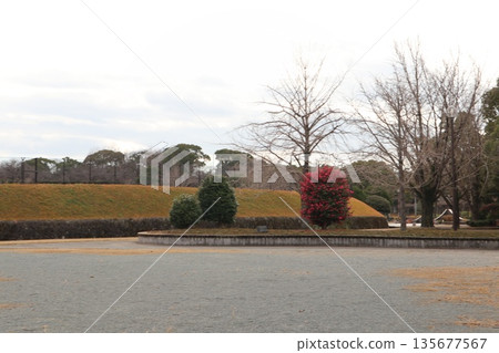2024, Fukuoka, Fukuoka City, Landscape, Chuo Ward, Maizuru Park, Part 49 2024, Fukuoka, Fukuoka City, Landscape, Chuo Ward, Maizuru Park, Part 49 135677567
