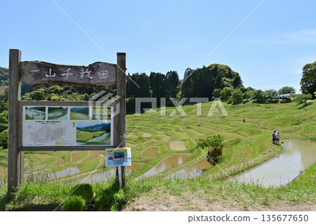 Oyama Senmaida Rice Fields, Chiba Prefecture 135677650