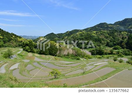 Oyama Senmaida Rice Fields, Chiba Prefecture Oyama Senmaida Rice Fields, Chiba Prefecture 135677662