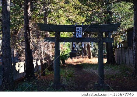 千葉縣野田市嚴島神社的弁財天 135677740