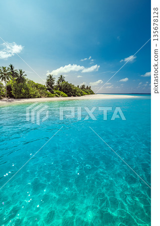 Tropical beach paradise, crystal clear ocean, palm trees swaying, island shore, golden sand, sunny sky, relaxing summer vacation, exotic tourism destination, idyllic coastal escape 135678128