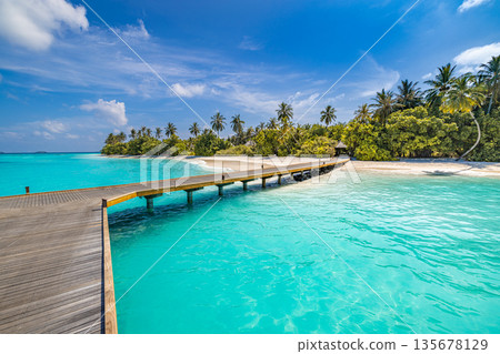 Relaxing wooden pier extending into tropical paradise island, calm turquoise ocean, sunny sky, idyllic landscape, serene summer holiday vacation, scenic exotic getaway 135678129