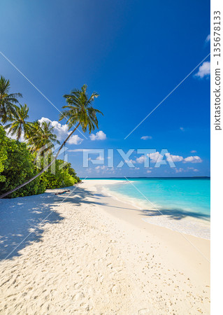 Serene sunny tropical beach landscape, soft sand, turquoise ocean, palm trees, clear sky, relaxing summer holiday, exotic travel destination, peaceful seaside vacation paradise Serene sunny tropical beach landscape, soft sand, turquoise ocean, palm trees, clear sky, relaxing summer holiday, exotic travel destination, peaceful seaside vacation paradise 135678133