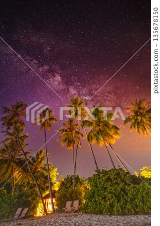 Night starry sky over tropical beach with palm trees creating serene travel landscape background for vacation tourism relaxation and destination branding 135678150