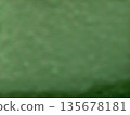 Green Blurred Textured Background 135678181