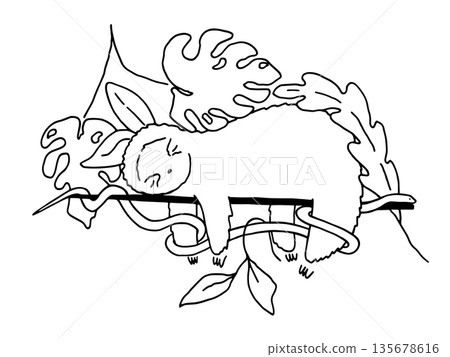 Doodle illustration of Baby sloth sleeping on the tree, snake coils around the branches of a tree. Tropical animals vector illustration 135678616