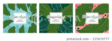 Hand-Drawn Colored Banana Leaves Square Banners Set for Social Media, Cards, Packaging, and Tropical Branding Vector Design Hand-Drawn Colored Banana Leaves Square Banners Set for Social Media, Cards, Packaging, and Tropical Branding Vector Design 135678777