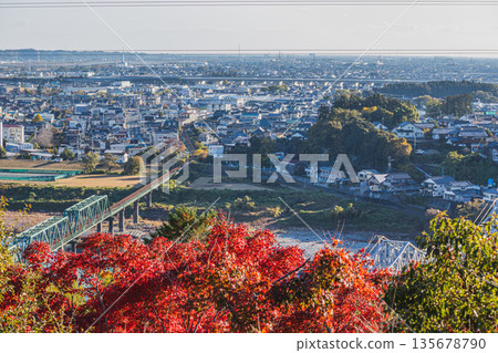 Autumn leaves and cityscape of Hamamatsu City (Shizuoka Prefecture) Autumn leaves and cityscape of Hamamatsu City (Shizuoka Prefecture) 135678790