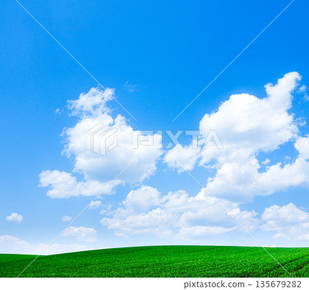 A view of wheat fields, blue sky and white clouds seen on a hill in Biei, Hokkaido in early summer A view of wheat fields, blue sky and white clouds seen on a hill in Biei, Hokkaido in early summer 135679282