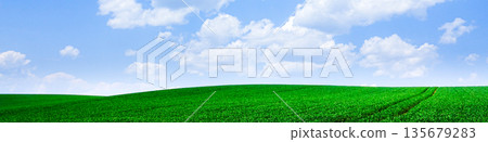 A view of wheat fields, blue sky and white clouds seen on a hill in Biei, Hokkaido in early summer A view of wheat fields, blue sky and white clouds seen on a hill in Biei, Hokkaido in early summer 135679283