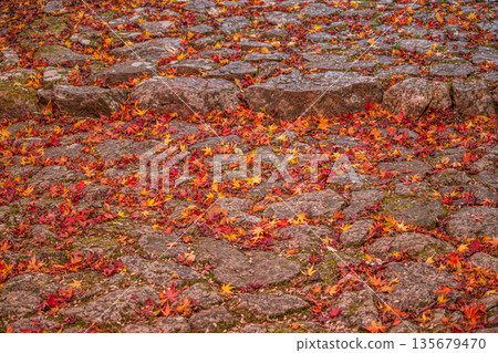 Autumn foliage scenery (Shizuoka Prefecture) Autumn foliage scenery (Shizuoka Prefecture) 135679470