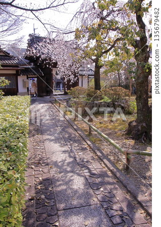 京都西陣著名的賞櫻勝地:十二二坊常本連大寺 京都西陣著名的賞櫻勝地:十二二坊常本連大寺 135679482