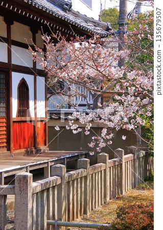 京都西陣著名的賞櫻勝地：十二二坊常本連大寺 135679507