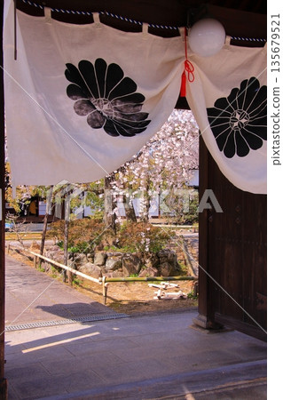 京都西陣著名的賞櫻勝地:十二二坊常本連大寺 京都西陣著名的賞櫻勝地:十二二坊常本連大寺 135679521
