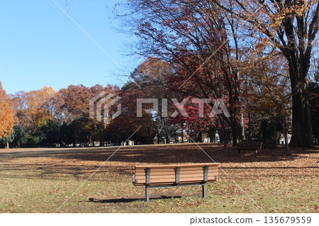 曙光公園 135679559