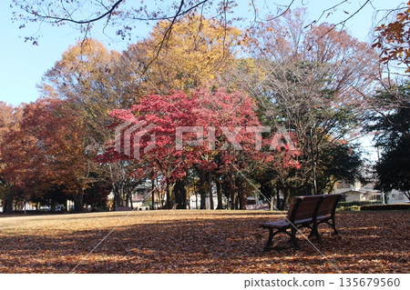 曙光公園 135679560