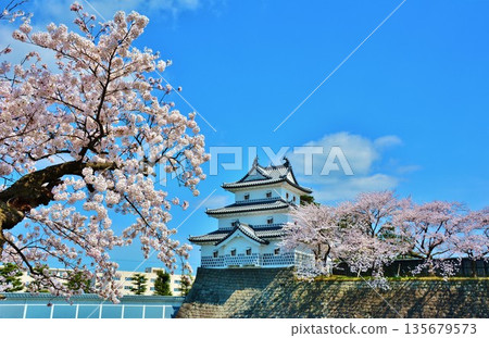 新發田城跡公園的櫻花 新發田城跡公園的櫻花 135679573