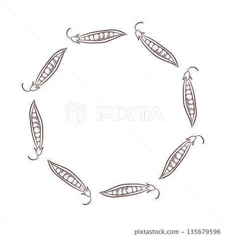 Peas wreath in line art style isolated on a white background. Design for vegetable store packaging. Peas wreath in line art style isolated on a white background. Design for vegetable store packaging. 135679596