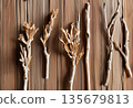 Dried branches and leaves arranged as minimalist home decor AI Generated 135679813