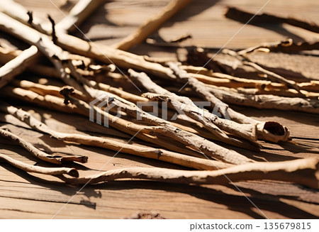 Dried branches and leaves arranged as minimalist home decor AI Generated Dried branches and leaves arranged as minimalist home decor AI Generated 135679815