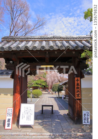 Daiho'onji Temple, also known as the Senbon Shakado Hall of the famous Akame Sakura in Nishijin, Kyoto Daiho'onji Temple, also known as the Senbon Shakado Hall of the famous Akame Sakura in Nishijin, Kyoto 135679832