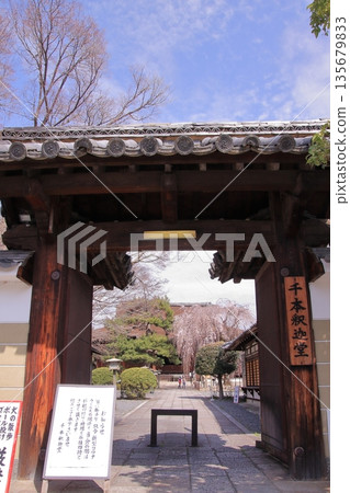 大報恩寺，又稱京都西陣著名赤梅櫻的千本釋迦堂 135679833