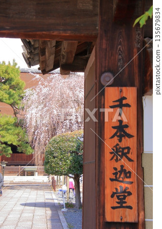 Daiho'onji Temple, also known as the Senbon Shakado Hall of the famous Akame Sakura in Nishijin, Kyoto 135679834