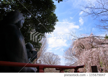 Daiho'onji Temple, also known as the Senbon Shakado Hall of the famous Akame Sakura in Nishijin, Kyoto Daiho'onji Temple, also known as the Senbon Shakado Hall of the famous Akame Sakura in Nishijin, Kyoto 135679847
