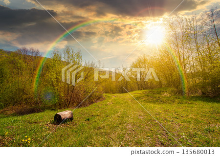 mountain landscape with green grass on a forest glade in spring at sunset. beautiful nature scenery with beech trees under blue sky in evening light. storytelling cinematic image under the rainbow mountain landscape with green grass on a forest glade in spring at sunset. beautiful nature scenery with beech trees under blue sky in evening light. storytelling cinematic image under the rainbow 135680013