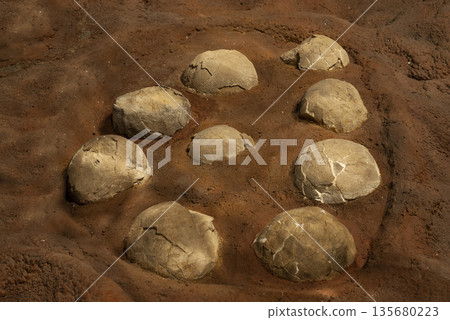 Titanosaurus Australis, fossized eggs, prehistoric animal inhabitant of Patagonia, Argentina. Titanosaurus Australis, fossized eggs, prehistoric animal inhabitant of Patagonia, Argentina. 135680223