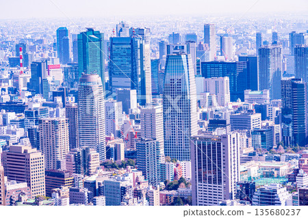 (Tokyo) Tokyo cityscape 135680237