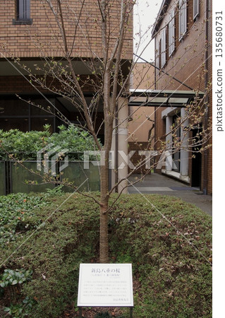 同誌社大學創辦人新島丈的故居 同誌社大學創辦人新島丈的故居 135680731