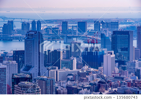 (Tokyo) Tokyo Cityscape Bay Area 135680743