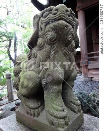 神社安置的守護犬 135680787