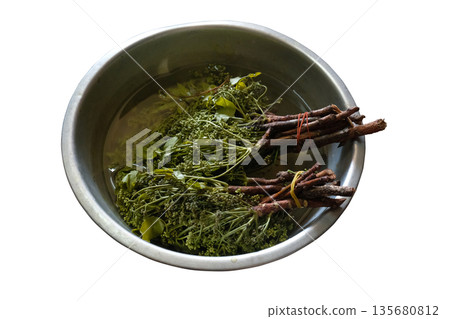 Azadirachta indica plant on dish Azadirachta indica plant on dish 135680812