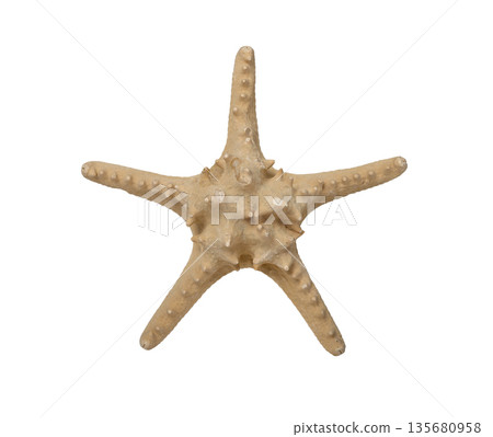 Starfish seashell closeup, tropical aquatic creature with textured beige surface and symmetrical Starfish seashell closeup, tropical aquatic creature with textured beige surface and symmetrical 135680958