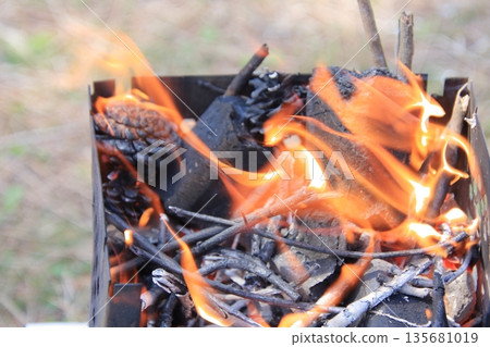 在滋賀縣琵琶湖畔開滿水仙花的湖邊綠地露營 135681019