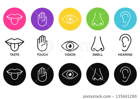Five senses of human nervous system icon vector illustration, Simple line icons and color circles, 135681200